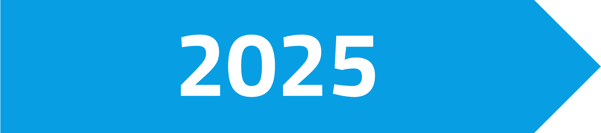 Grafik, die eine weiße Zahl 2025 auf einem blauen Pfeil zeigt.